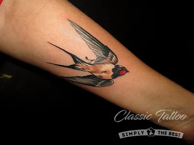 Тату птицы. Мини тату птицы. Тату голуби.Bird Tattoo. Mini bird tattoos.  Tattoo pigeons. | Тату на спину для девушек, Тату на спине, Тату минимализм