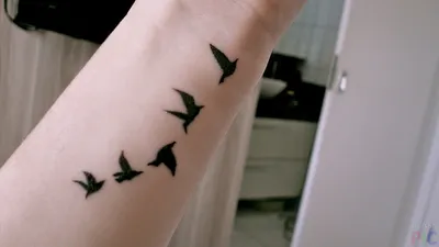 Фото тату птицы на запястье 17.08.2018 №123 - tattoo of a bird on the wrist  - tatufoto.com - tatufoto.com