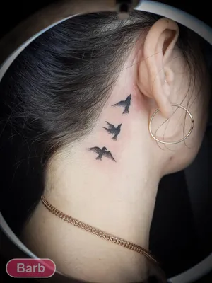 Tattoo'шки Временная тату \"Перья и птицы\" 21*15см- купить по выгодной цене  в интернет-магазине OZON (616908307)