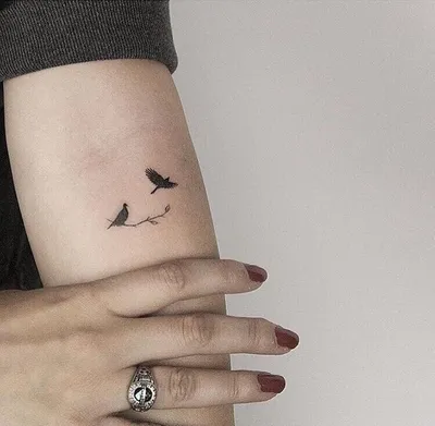 Тату с птицами | Girly tattoos, White bird tattoos, Minimalist tattoo