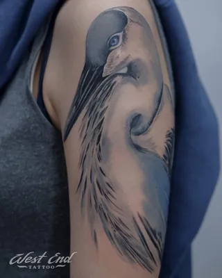 Татуировки птиц и их значение - Тату Салон Екатеринбург