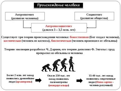 Из-за обстрелов ВСУ Белгородской области госпитализированы 74 человека