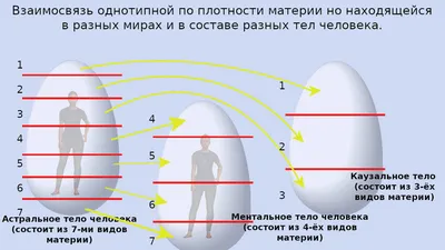 Тема №78 «Эфирное тело человека — часть 2» | Азбука загадок человечества |  Дзен