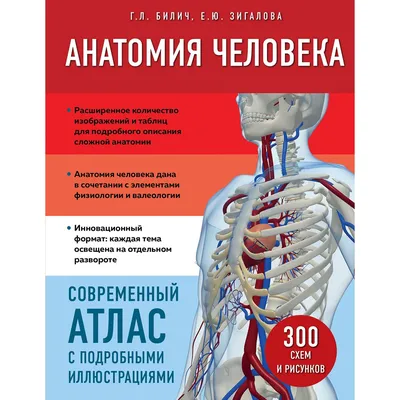 Тема №88 «Каузальный мир и каузальное тело человека — часть 1» | Азбука  загадок человечества | Дзен