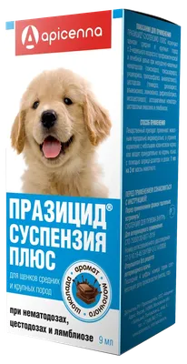 Фото Токсокароз у собак: изображения для публикаций о здоровье собак