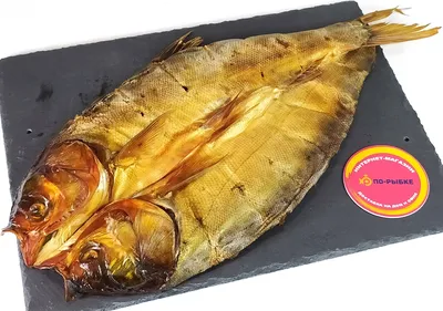 Толстолобик - Fishmarket - Пресноводные рыбы