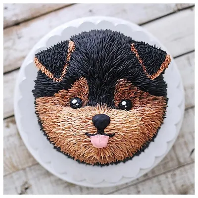 Фотография торта в виде собаки - фон для вашего экрана