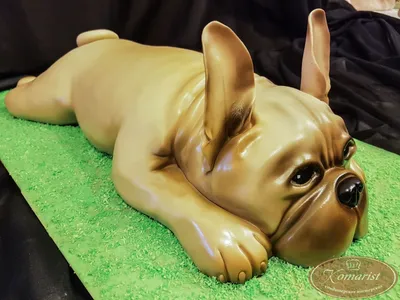 Картинка торта в форме собаки - размер XL, формат png