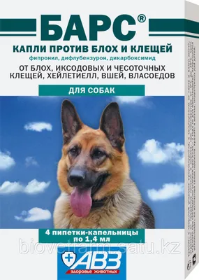 Изображения с триходектозом у собак - реалистичные и выразительные