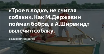 Изображение собаки в лодке: Фоны и обои