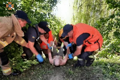 На Шаморе спасатели вытащили на берег труп мужчины – Новости Владивостока  на VL.ru