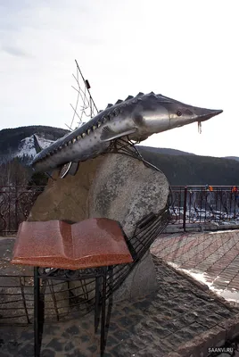 Площадка «Царь-рыба» (Красноярский край): фото и отзывы — НГС.ТУРИЗМ