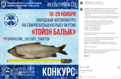 Стерлядь «Царская рыба»🐟 - рецепт автора Татьяна @-}--