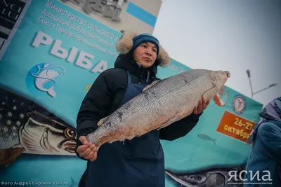 Рыба Царская - рецепт как вкусно приготовить рыба царская | Пошаговые  рецепты на Recept.ua