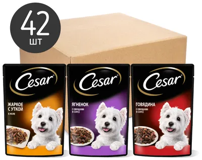 Изображения Цезарь корм для собак в хорошем качестве для использования