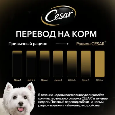 Красочные фотографии Цезарь корм для собак для бесплатного скачивания