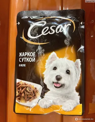 Фото Цезарь корм для собак в формате jpg с различными вариантами размера