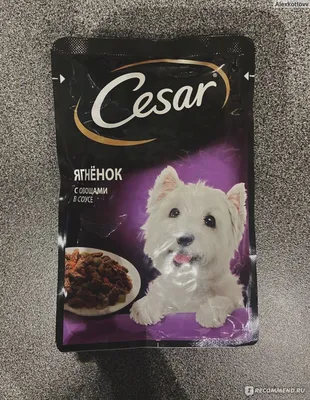 Изображение Цезарь корм для собак в высоком разрешении для скачивания