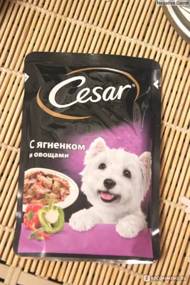 Изображение Цезарь корм для собак в формате webp с высокой детализацией