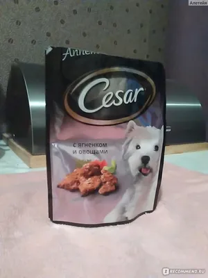 Фотография Цезарь корм для собак с возможностью выбора размера и формата