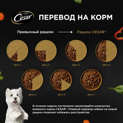Изображения Цезарь корм для собак в форматах png, jpg, webp для скачивания