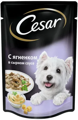 Изображение Цезарь корм для собак в хорошем качестве для использования на сайте
