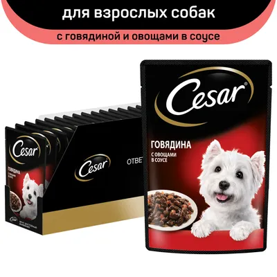 Фото Цезарь корм для собак в формате jpg с различными вариантами размеров