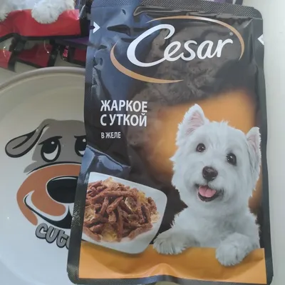 Фотография Цезарь корм для собак с возможностью выбора формата (jpg, png, webp)