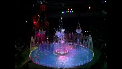 [78+] Цирк на воде фото фото