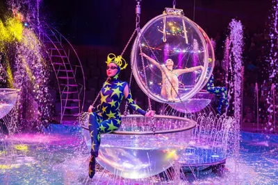 Цирк на воде | Sobaka.ru