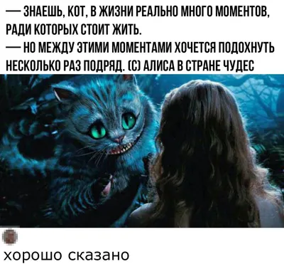 Чеширский кот и Алиса (Много фото!) - treepics.ru