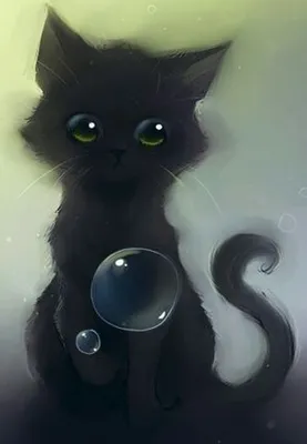 Черный кот с выпученными глазами - 75 фото