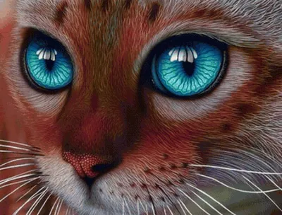 Кот со смешными глазами - 80 фото