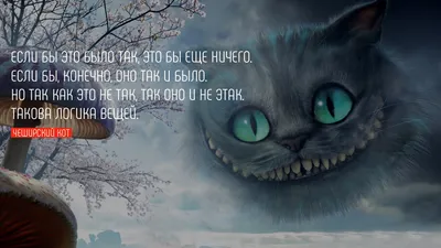 Цитаты про кота - 📝 Афоризмо.ru