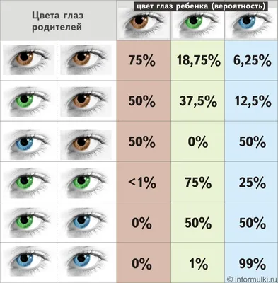 Почему глаза разного цвета и какой цвет самый редкий? - Hi-News.ru