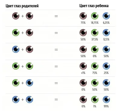 Наследование цвета глаз у детей. Уральский центр глазного протезирования,  г. Челябинск. - ОКОРИС. Уральский центр глазного протезирования