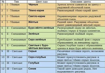 Цвет глаз: многообразие оттенков и уникальность каждого человека» — создано  в Шедевруме