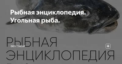Стейки угольной рыбы, черная треска стейк купить, угольную рыбу штучной  заморозки, цена с доставкой Москва