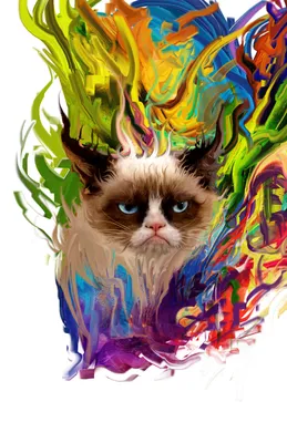 Grumpy Cat — Википедия