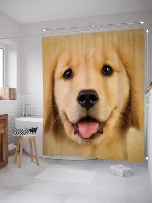 Изображение счастливой собаки: выберите свой размер и формат для скачивания