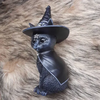 Черный кот в шляпе ведьмы и метле | Премиум Фото