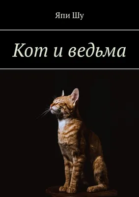 Обои на рабочий стол Ведьма с чёрным котом, в глазах которого мерцают  черепа, обои для рабочего стола, скачать обои, обои бесплатно