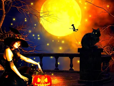 кошка ведьма с тыквами и свечой на деревянном полу в черной кошачьей шляпе,  картинка кота хэллоуин, кошка, Хэллоуин фон картинки и Фото для бесплатной  загрузки