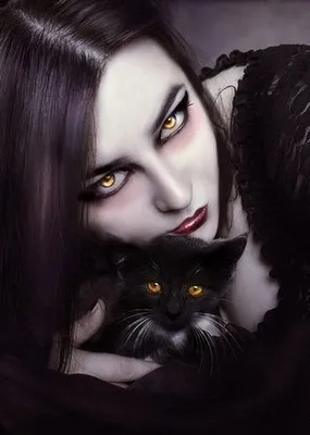 Ведьма с черным котом стоковое изображение. изображение насчитывающей ужас  - 34048613