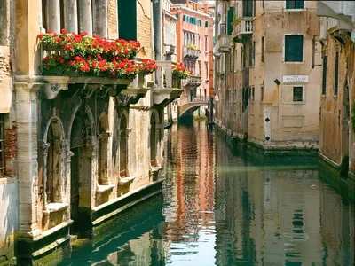[80+] Венеция под водой фото фото