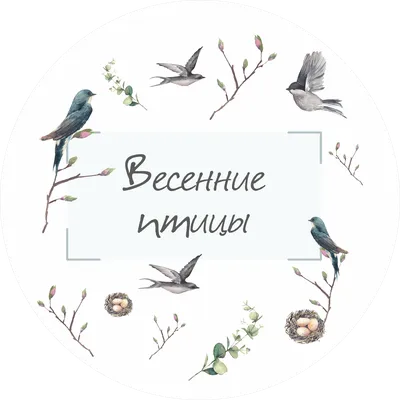 Картина по номерам Весенние птицы (Brushme GX34257) купить недорого.