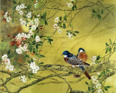 Картинки весна птицы на рабочий стол (70 фото) » Картинки и статусы про  окружающий мир вокруг