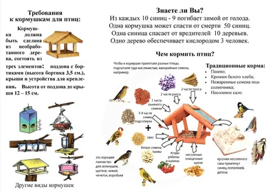 Кормушка для птиц: спасение пернатых в холод | ВКонтакте
