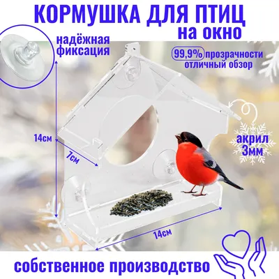 Кормушка для птиц «DIY» (арт. 723201) - купить в Москве | Oasis —  корпоративные подарки в Москве, с нанесением логотипа и без