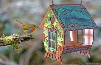 Прозрачная кормушка домик для птиц \"Княжий\" в магазине «Арт-кормушка» на  Ламбада-маркете